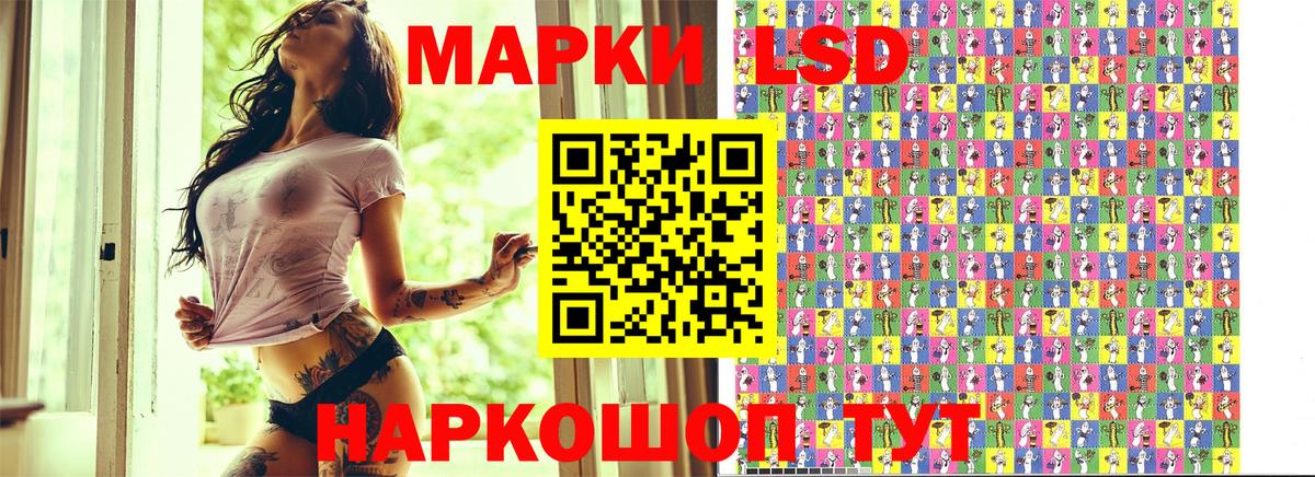 где купить наркотик  Марки NBOMe 1,8мг  Вход с VPN  Иркутск  Марки NBOMe 1,8мг 