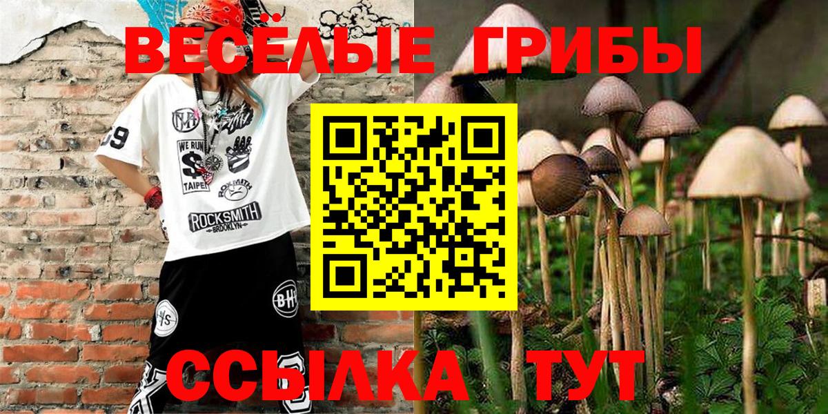 Псилоцибиновые грибы мицелий Иркутск